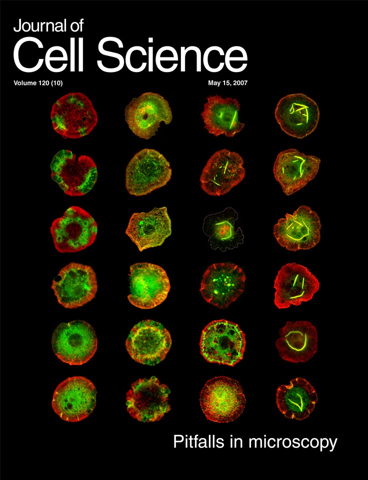 Journal of Cell Science issue cover