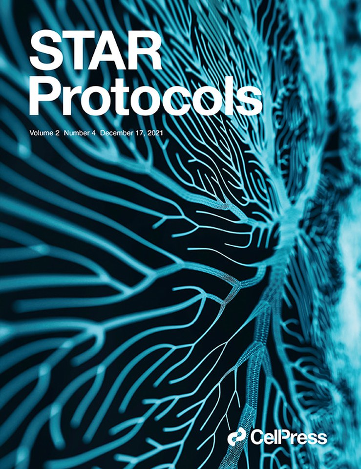 STAR Protocols issue cover