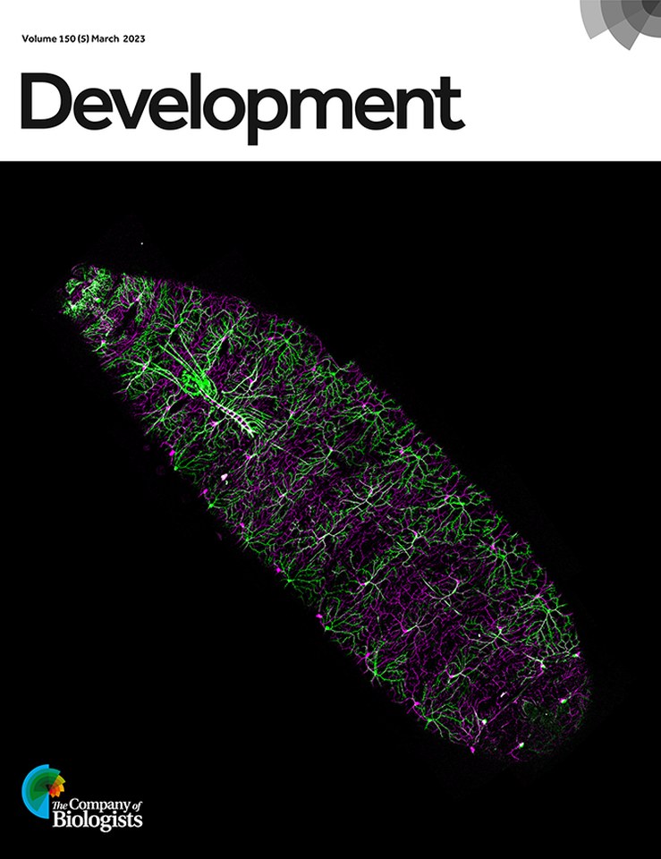Development issue cover