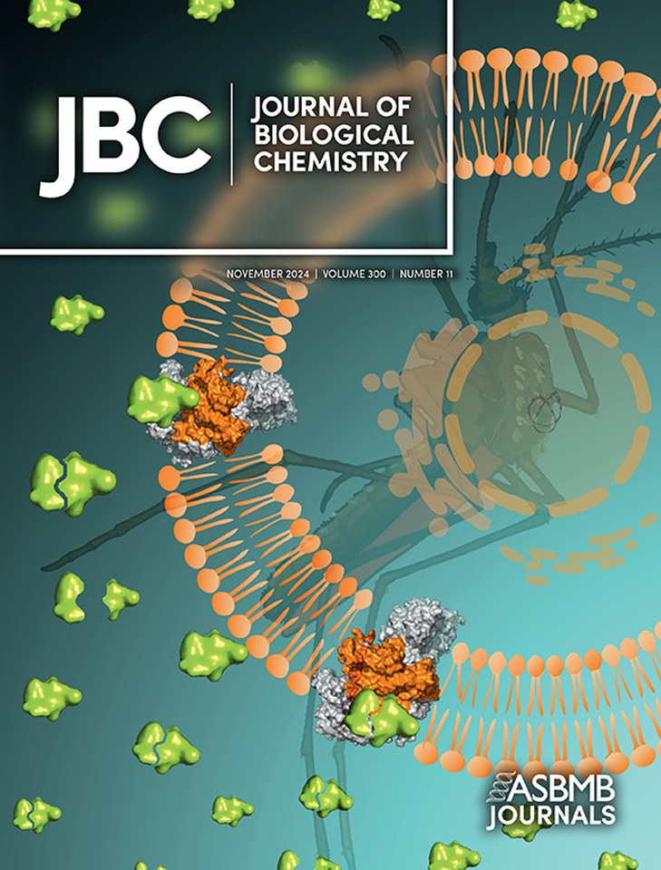 Journal of Biological Chemistry issue cover
