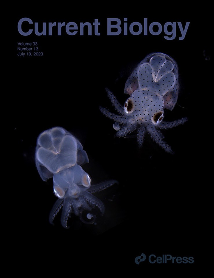 Current Biology issue cover